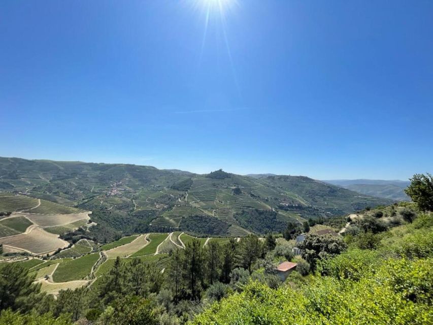 Porto: Douro Valley Tour with 2 Wineries, Lunch and Cruise - Douro Viewpoints, the N222 Drive, and Quick Photo Stops