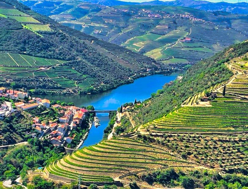 Porto: Douro Valley Tour with 2 Wineries, Lunch and Cruise - Olive Oil Tastings That Add a Local Flavor Angle