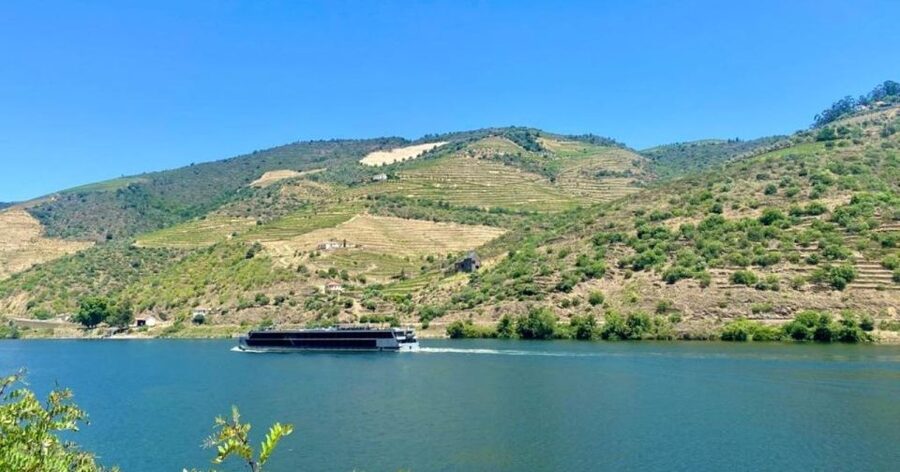 Porto: Douro Valley Tour with 2 Wineries, Lunch and Cruise - Getting the Most From a Small Group of 8