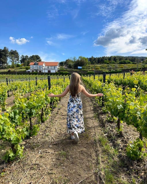 Porto: Douro Valley Tour with 2 Wineries, Lunch and Cruise - How the Route Turns Into Value for $117