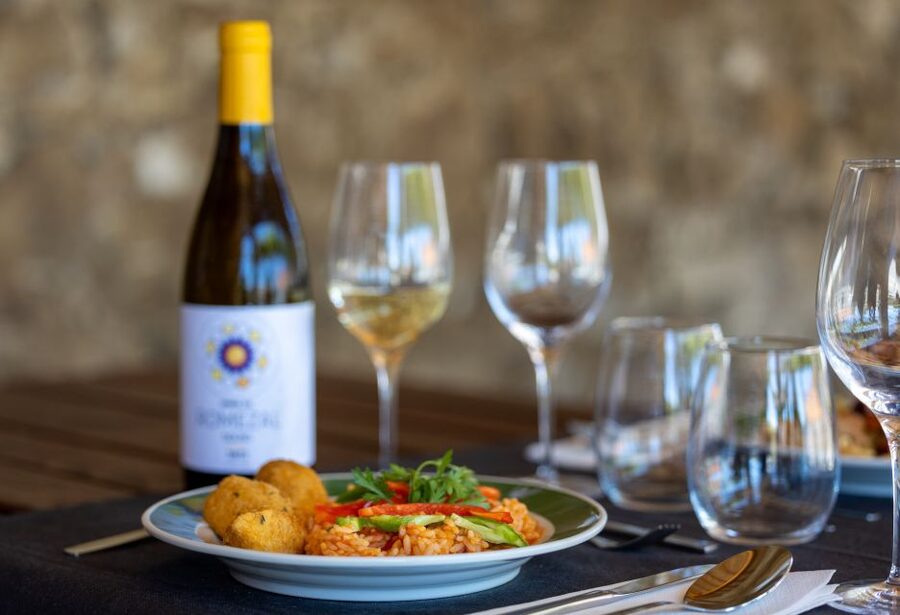 Porto: Douro Valley Tour with Lunch, Boat Cruise & Tastings - The Lunch Stop: Wine Pairing in a Cellar, Plus Dietary Care