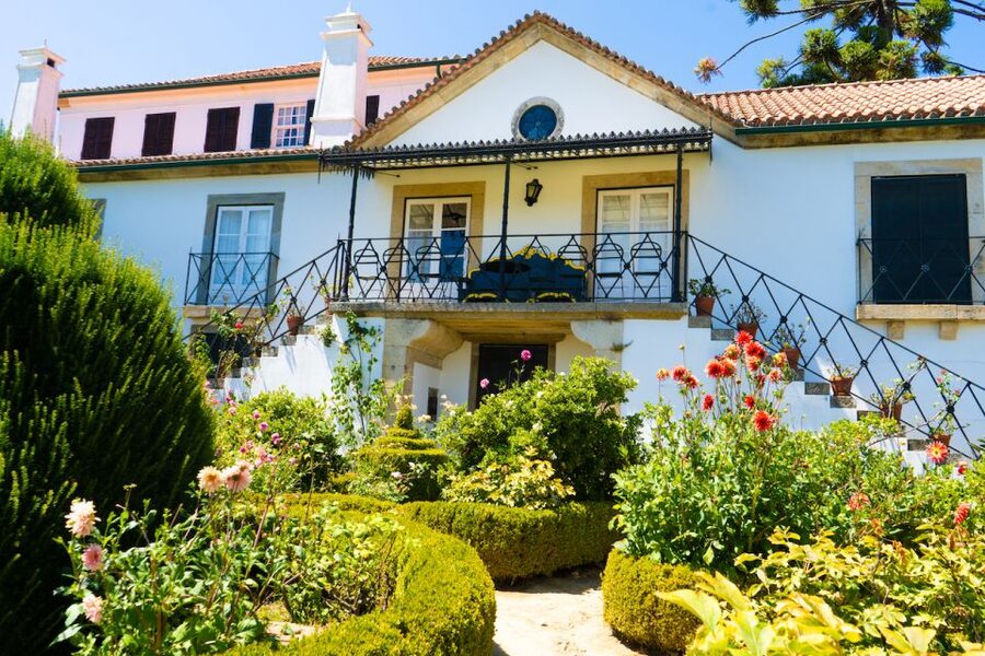 Porto: Douro Valley Tour with Lunch, Boat Cruise & Tastings - Pinhão and the Douro River Cruise: Views Plus Timing