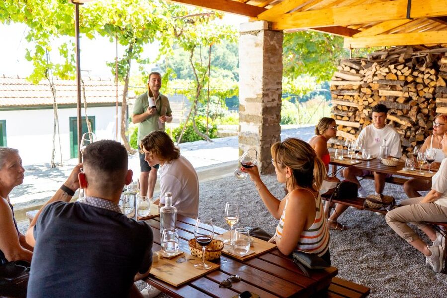 Porto: Douro Valley Tour with Lunch, Boat Cruise & Tastings - Guided Drive on the N222 and Viewpoints That Matter