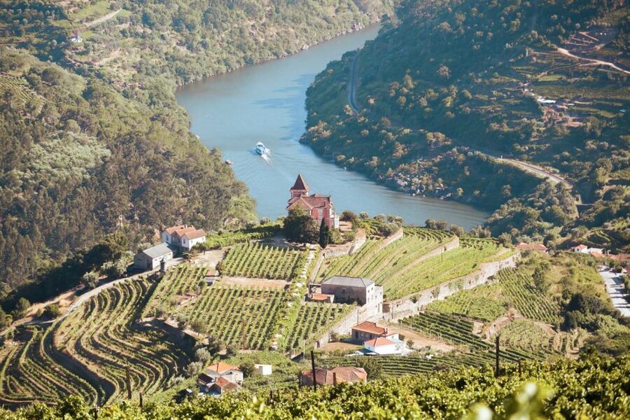 Porto: Douro Valley Tour with Wine Tasting, Cruise and Lunch - Key Things You Should Know Before You Go