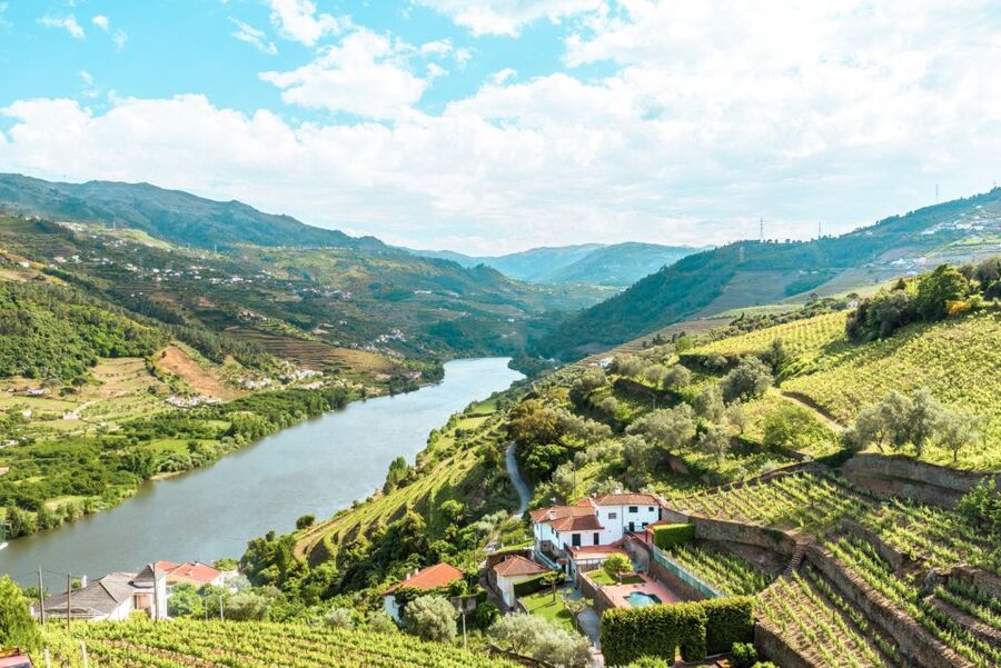 Porto: Douro Valley Tour with Wine Tasting, Cruise and Lunch - Winery Stop 1: Learn the Port Story and Taste with Context