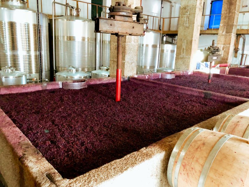 Porto: Douro Valley Tour with Wine Tasting, Cruise and Lunch - Lunch in the Douro Valley: Real Portuguese Food, Wine Pairing Included
