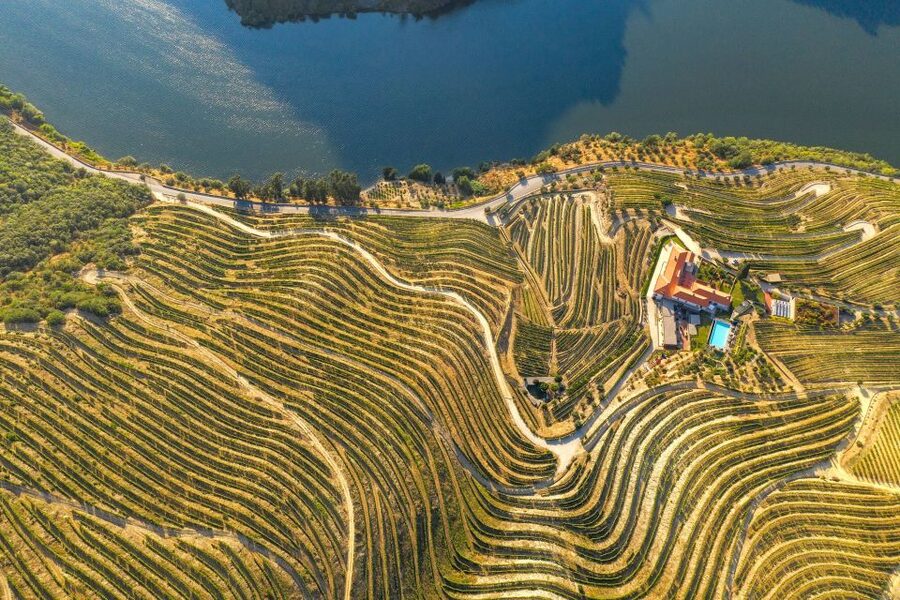 Porto: Douro Valley Tour with Wine Tasting, Cruise and Lunch - Winery Stop 2: More Tastings, More Viewpoints, and a Second Chance to Learn