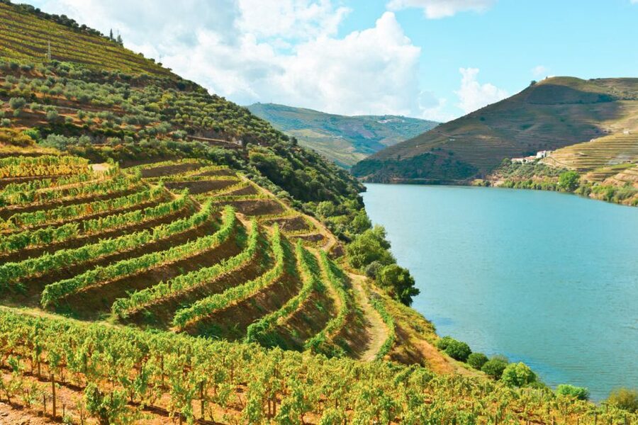 Porto: Douro Valley Tour with Wine Tasting, Cruise and Lunch - Pinhão and the Douro River Cruise: The View That Makes the Day Feel Worth It