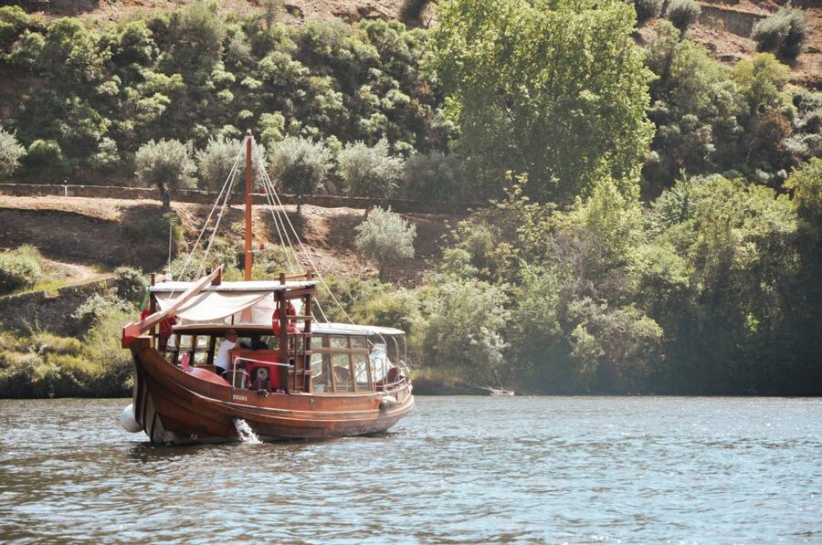 Porto: Douro Valley Tour with Wine Tasting, Cruise and Lunch - Getting Back to Porto: Late-Day Timing and How to Stay Comfortable
