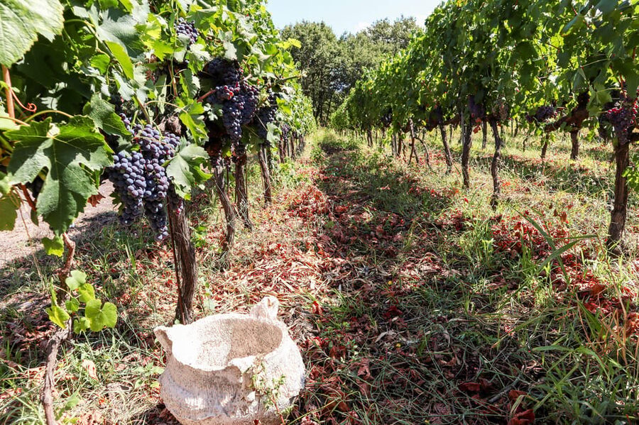 Porto: Douro Valley Wine Tour with a Sommelier & Boat Trip - Who This Porto to Douro Tour Fits Best