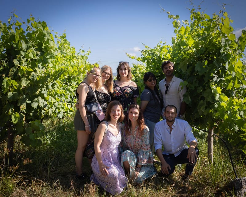 Porto: Douro Valley Wine Tour with a Sommelier & Boat Trip - Group Size and Pace, Why This Feels More Like a Shared Day Than a Circuit