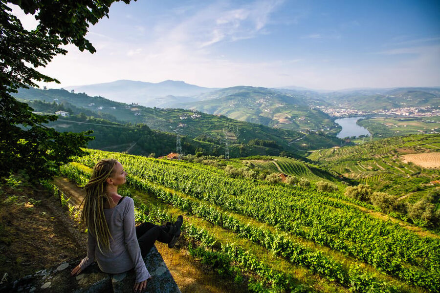 Porto: Douro Valley Wine Tour with a Sommelier & Boat Trip - Weather and Boat-Level Changes, How Flexible the Day Can Be
