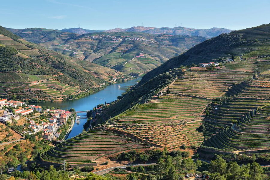Porto: Douro Valley Wine Tour with a Sommelier & Boat Trip - Penafiel Quinta Stop, Vinho Verde Wines, and That Port Bottle Moment