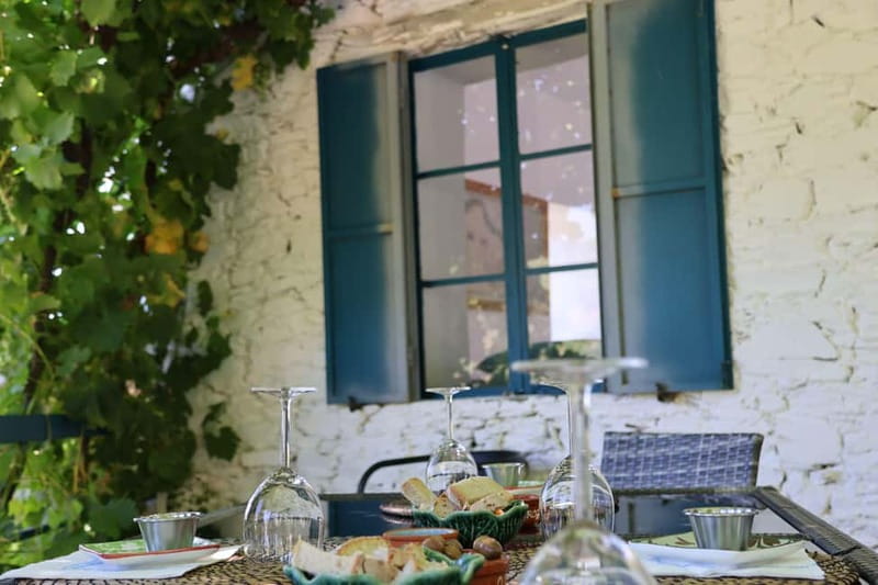 Porto: Douro Valley Wine Tour with Tastings, Lunch & Cruise - The N222 Scenic Drive, Where the Views Keep Coming