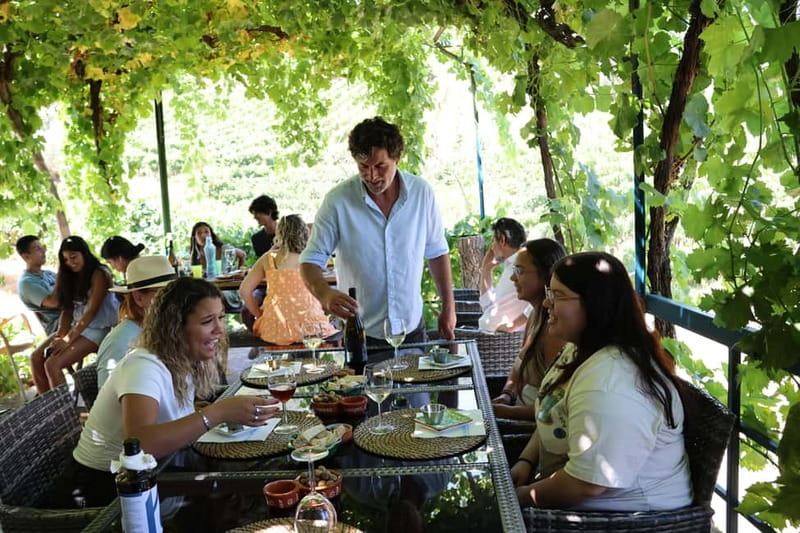 Porto: Douro Valley Wine Tour with Tastings, Lunch & Cruise - Second Winery Visit: More Time for Comparison