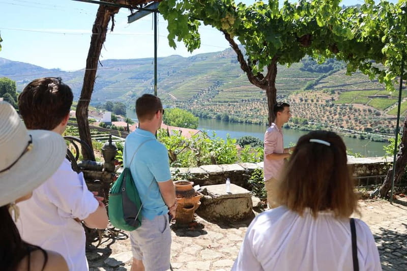 Porto: Douro Valley Wine Tour with Tastings, Lunch & Cruise - Group Size and Guide Energy: Why It Feels Like a Local Day
