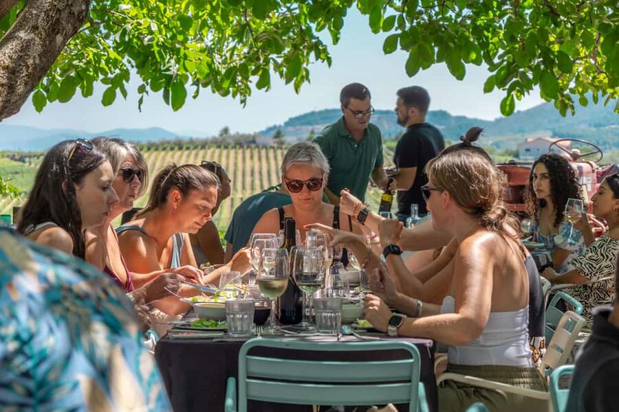 Porto: Douro Valley with Winery Lunch, Tastings & Cruise - Who This Douro Tour Suits Best