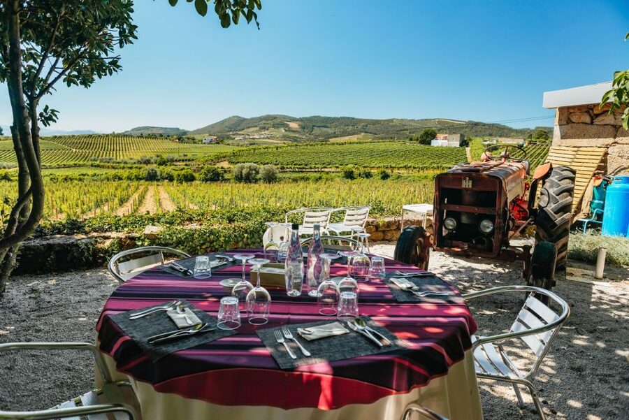 Porto: Douro Valley with Winery Lunch, Tastings & Cruise - The Return via N222 Road: The Scenery Drive That Actually Delivers