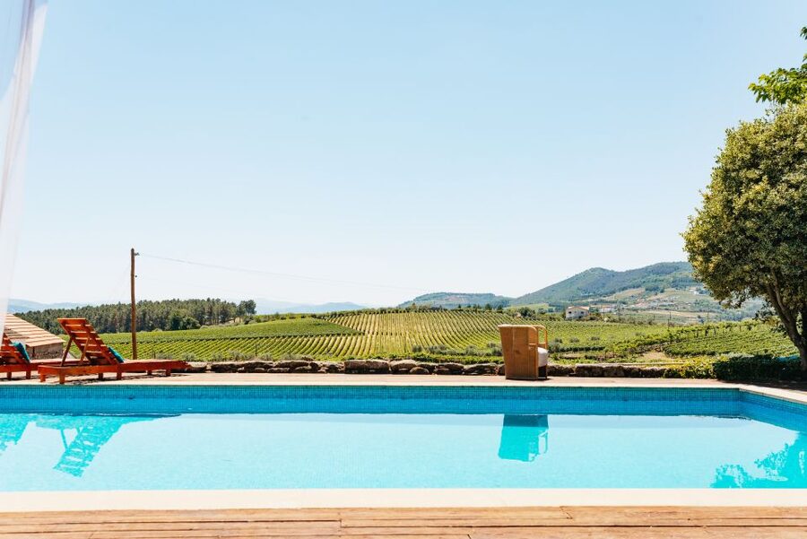 Porto: Douro Valley with Winery Lunch, Tastings & Cruise - What You Should Know Before You Go (So the Day Feels Easy)