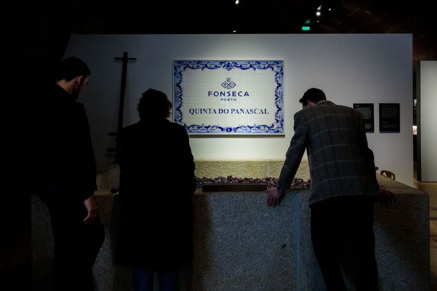 Porto: Fonseca Cellar Tour & Fado Show with Optional Dinner - Bin 27 and Siroco Tastings: Two Iconic Ports, One Guided Moment