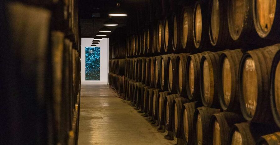 Porto: Guided Tour and Tasting of 3 Port Wines at Poças - Key Things I’d Watch For Before You Go