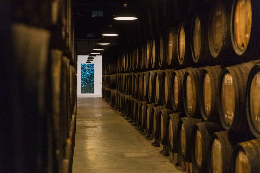 Porto: Guided Tour and Tasting of 3 Port Wines at Poças - The 90-Minute Flow: Cellar Walk, Douro Context, Then Three Port Wines