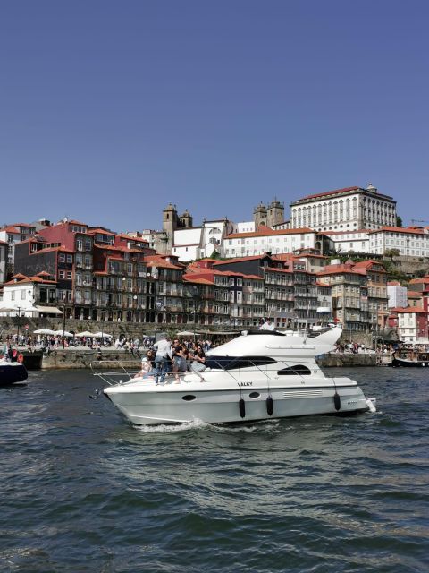 Porto: Luxury Yacht Tour of the 6 Bridges and Douro Estuary - The bridge lineup from Arrábida to São João: what you’ll see and how to enjoy each stop
