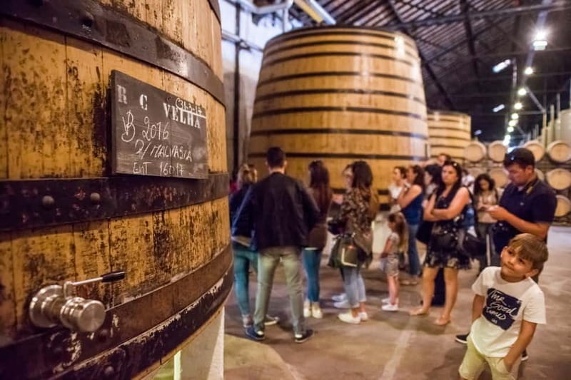 Porto: Magic Train Tour and Port Wine Cellar with Tastings - Why this Porto train and Port cellar combo works