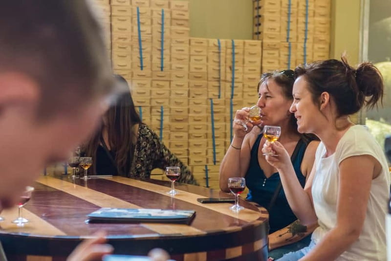 Porto: Magic Train Tour and Port Wine Cellar with Tastings - Porto on rails, then Port wine on your tongue
