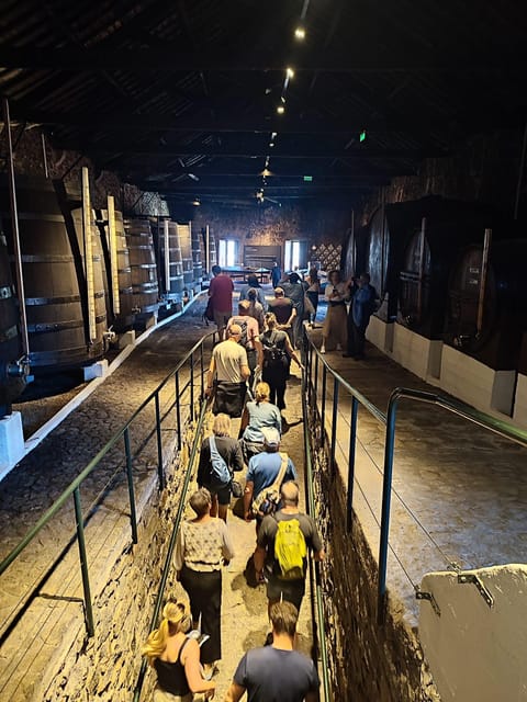 Porto: Port and Douro Wine Walking Tour with 9 Tastings - The 9 tastings: why the lineup feels smarter than a standard tasting