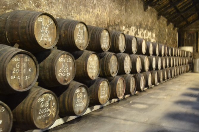 Porto: Port and Douro Wine Walking Tour With 9 Wine Tastings - The Guides Make the Tour: Pedro, Rita, Ricardo, Rico, Luiz