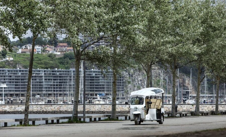 Porto: Private Sightseeing Tour by Electric Tuk Tuk - Serra do Pilar monastery views: the Porto skyline from above