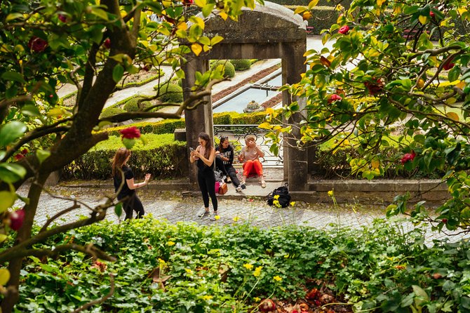 Porto PRIVATE TOUR With Locals: Highlights & Hidden Gems - Walking reality in Porto, and how to stay comfortable for 3 hours