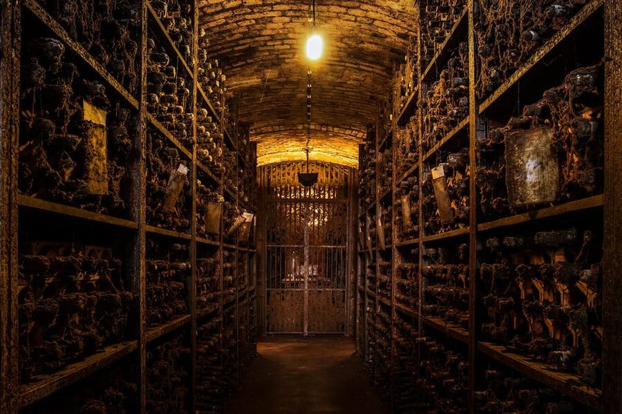 Porto: Royal Oporto Tour na Real Companhia Velha - Inside the Cellars: Wooden Casks, Vats, and the Aging Process You Can See