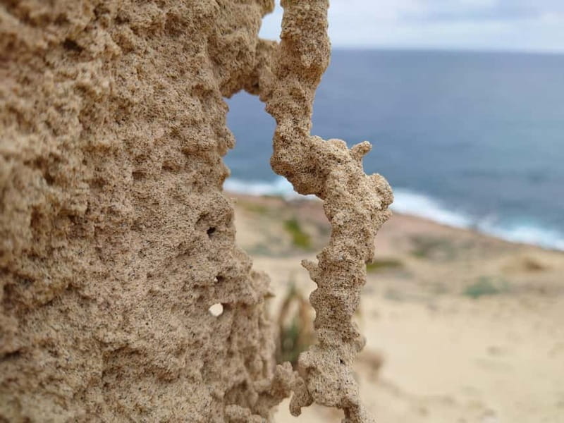 Porto Santo: Island Highlights 4x4 Tour with Hotel Transfers - Fonte da Areia: the guided walk plus the off-road energy hour