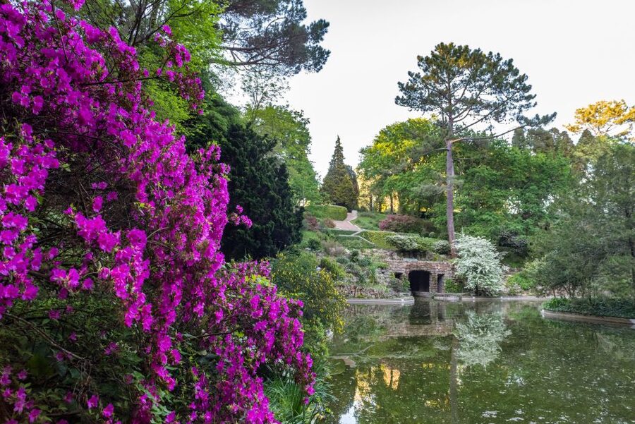 Porto: Serralves Foundation All Access Pass - Food breaks, comfort, and how to enjoy the day without rushing