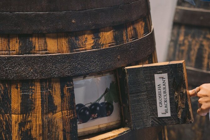 Porto: Taylor's Port Cellars Visit & Port Wine Tasting - Should You Book This Taylor’s Port Cellars Visit?