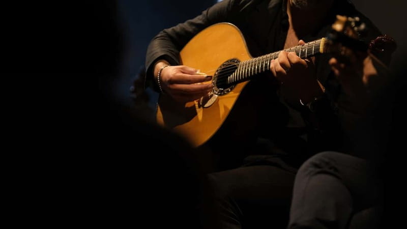 Porto: The highest-rated traditional fado concert (downtown) - Porto Traditional Fado at Ideal Clube de Fado, what the night actually feels like