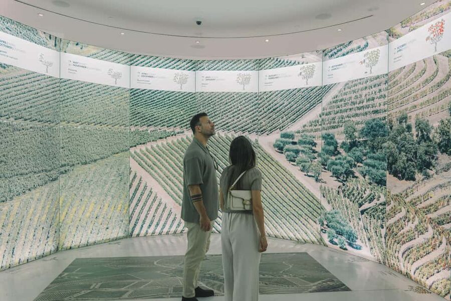 Porto: The Wine Experience, Best Wine Museum in the World - Where it fits in your Porto day, plus practical tips
