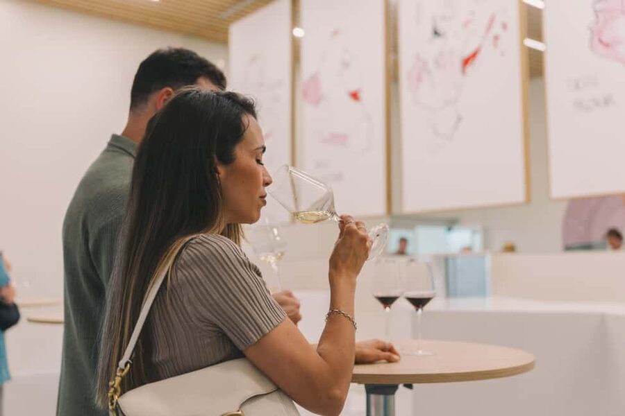 Porto: The Wine Experience, Best Wine Museum in the World - Your route through winemaking: what happens from vine to bottle