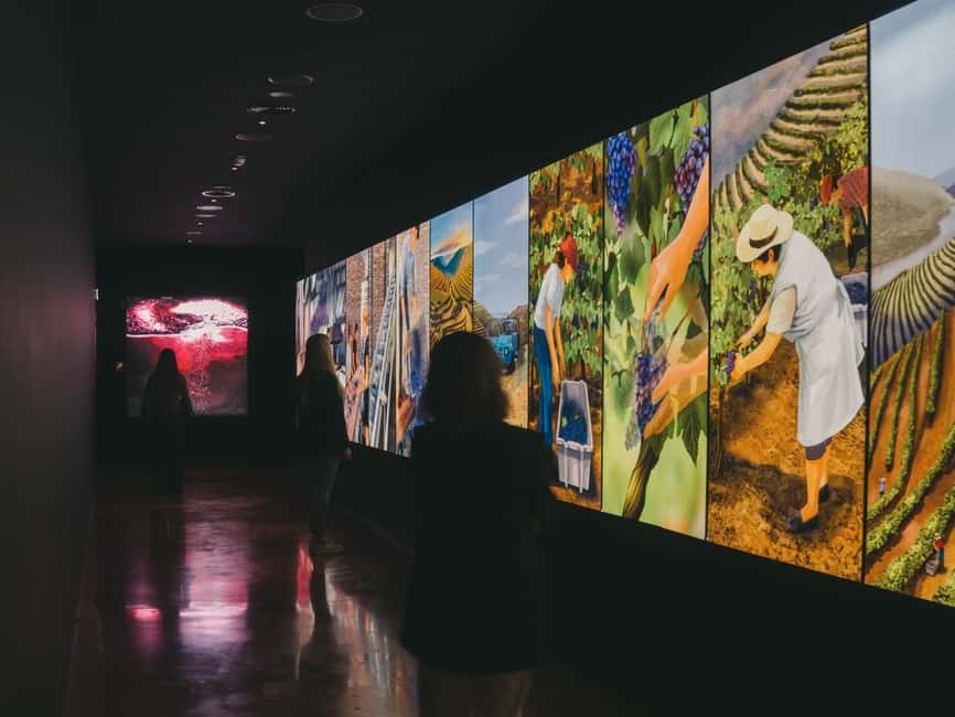 Porto: The Wine Experience, Best Wine Museum in the World - Portugal’s wine regions in one stop: Vinho Verde to Madeira