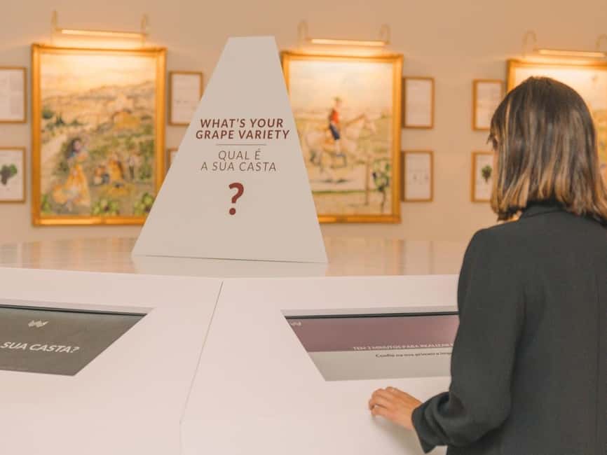 Porto: The Wine Experience, Best Wine Museum in the World - The guided tasting: red, white, and port (and how to taste better)