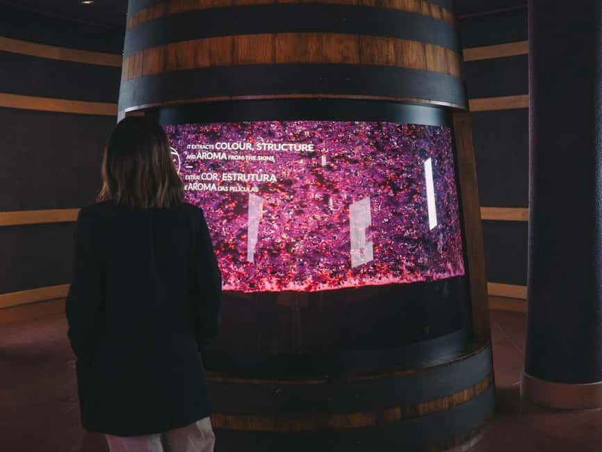 Porto: The Wine Experience, Best Wine Museum in the World - Audio guide and languages: making the museum easy to follow