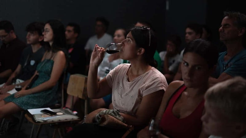 Porto: What is Fado? Commented Live Concert with Port Wine - Who should book Fado na Baixa, and who might want a different option