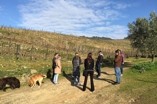 Premium Douro Valley Small-Group Tour, Wine Tasting, Lunch & Boat - Porto to the Douro Valley, How the Day Really Moves
