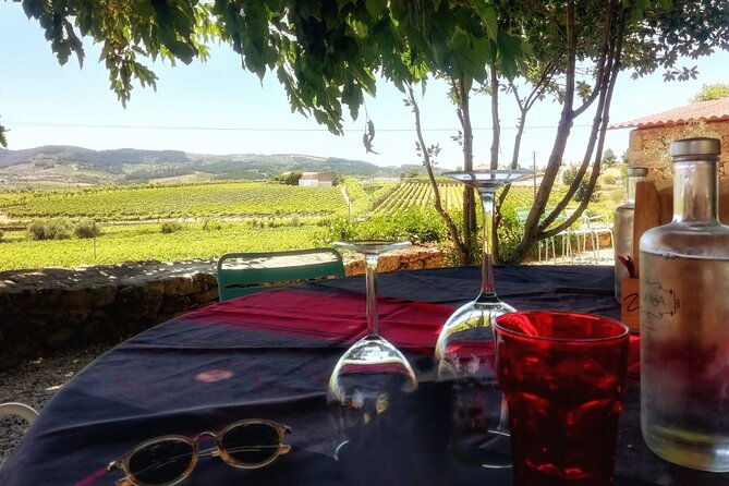 Premium Douro Valley Small-Group Tour, Wine Tasting, Lunch & Boat - The First Stop: Quinta do Panascal and the Port Wine Lesson