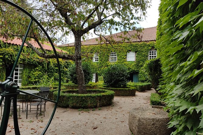 Premium Douro Valley Small-Group Tour, Wine Tasting, Lunch & Boat - Small-Group Size, Shared Energy, and Why It Matters