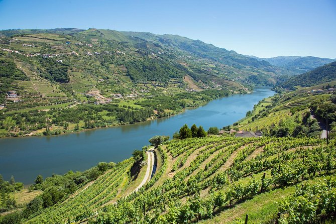 Premium Douro Valley Small-Group Tour, Wine Tasting, Lunch & Boat - Price and Value: Is About $181 Fair for This Much Included?