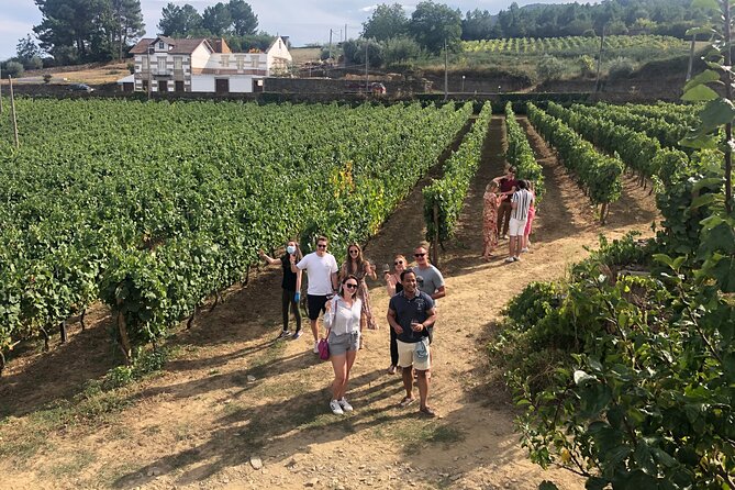 Premium Douro Valley Small-Group Tour, Wine Tasting, Lunch & Boat - Pinhão and the River Douro, Why the Boat Ride Works