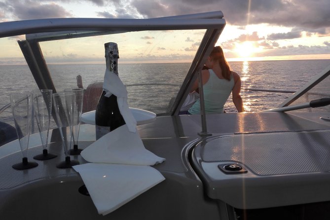 Private Dolphin and Whale Watching Tour in Madeira - Key points worth knowing before you go